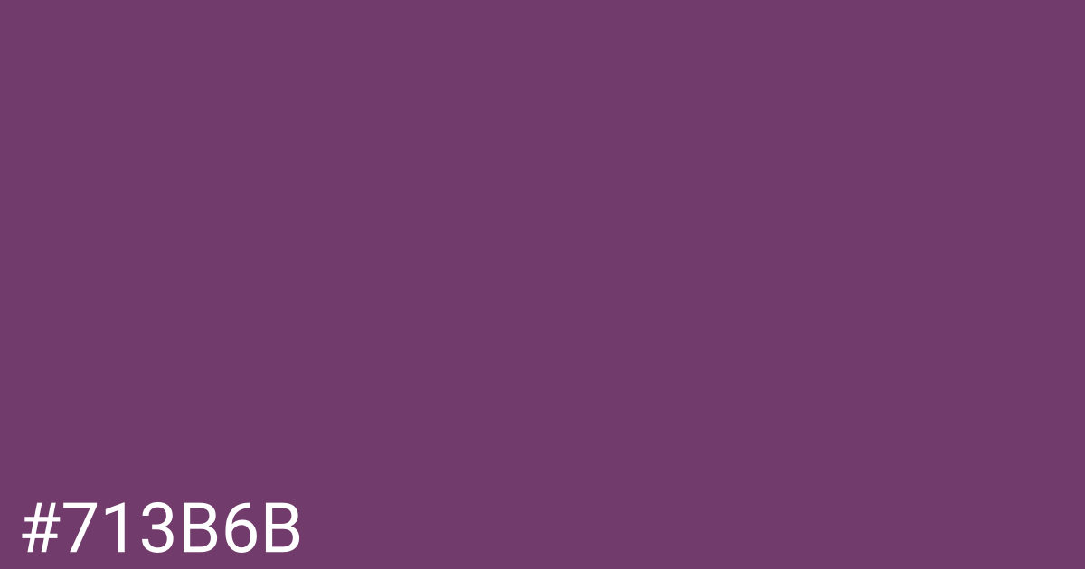 Hex color #713b6b graphic