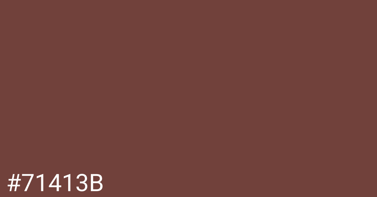 Hex color #71413b graphic