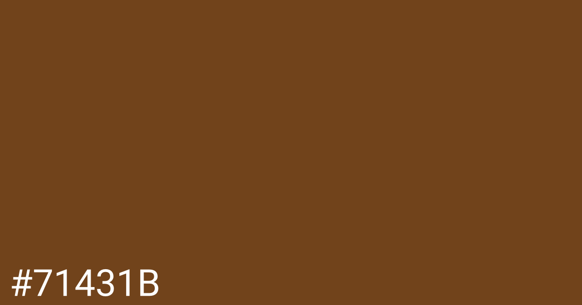 Hex color #71431b graphic