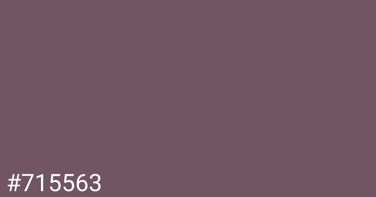 Hex color #715563 graphic