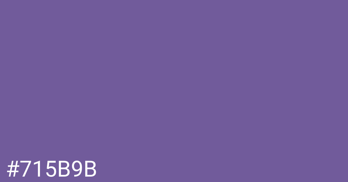 Hex color #715b9b graphic