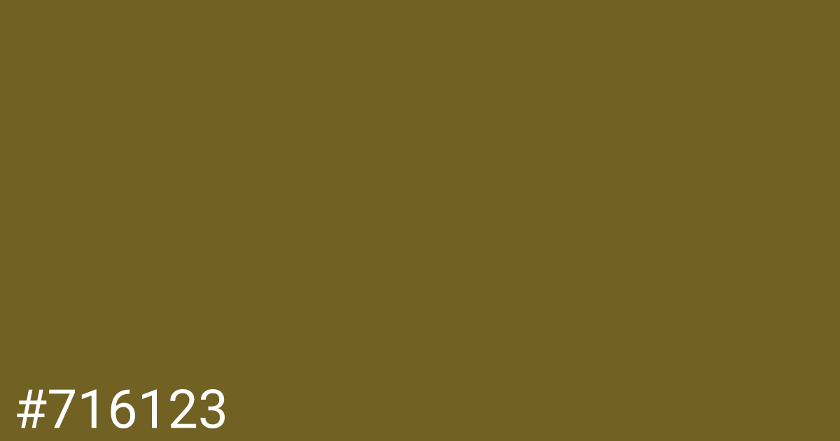 Hex color #716123 graphic