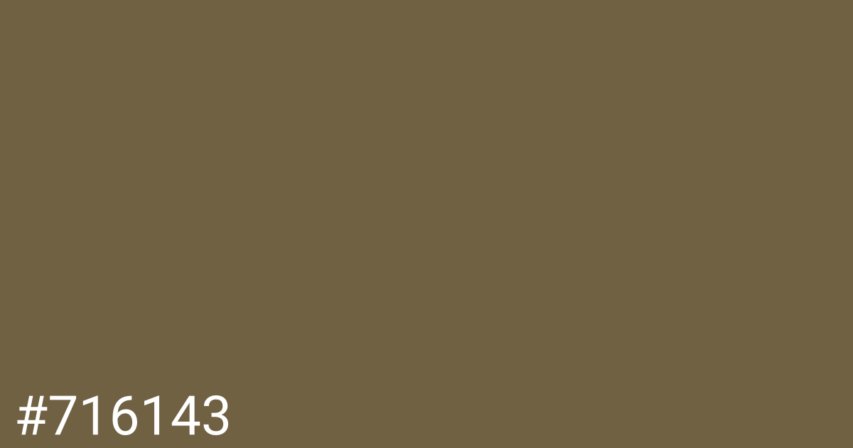 Hex color #716143 graphic