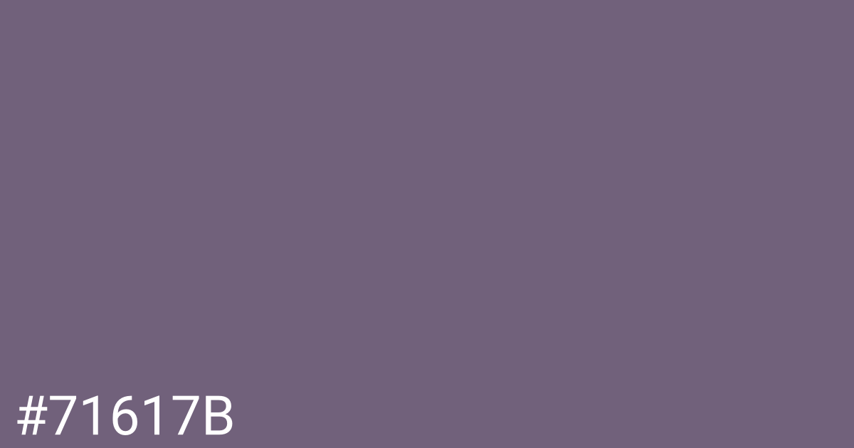 Hex color #71617b graphic