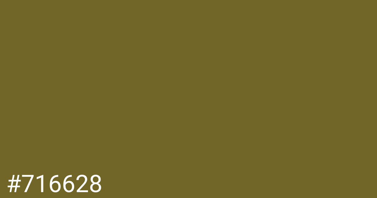 Hex color #716628 graphic