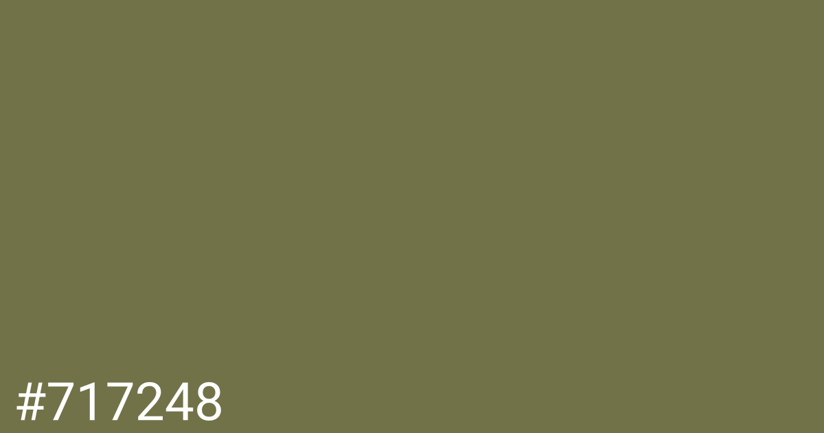 Hex color #717248 graphic