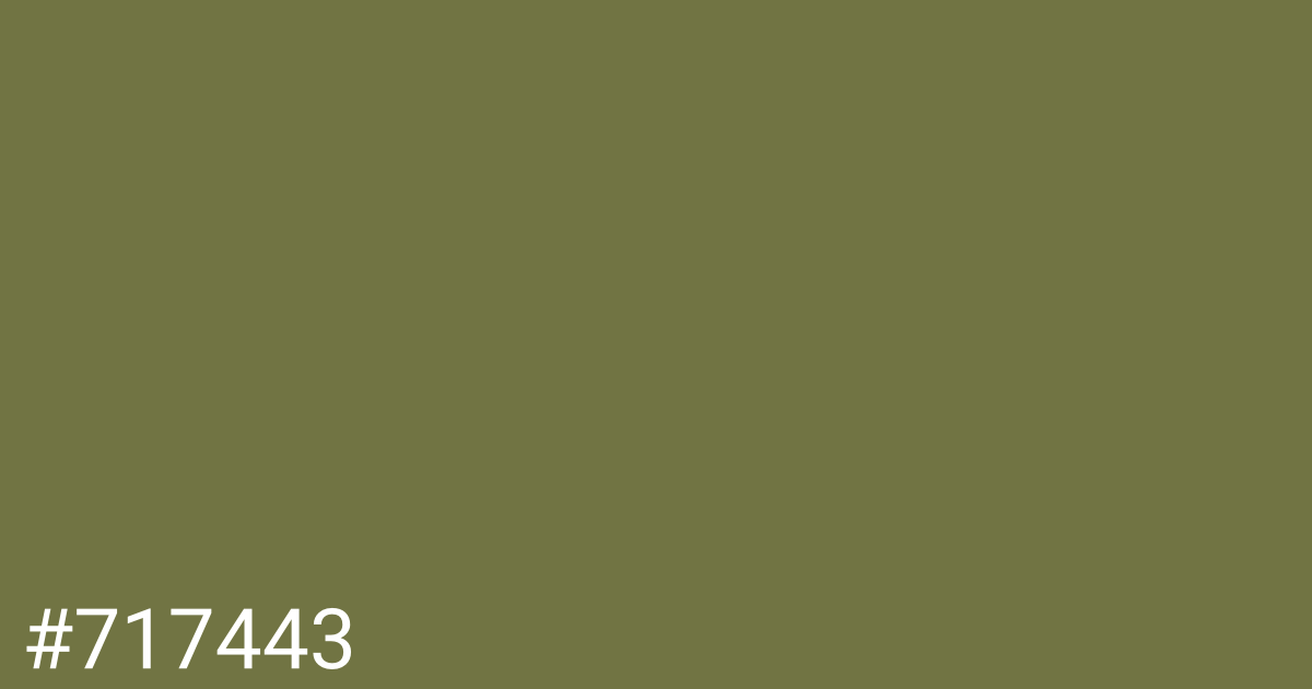 Hex color #717443 graphic