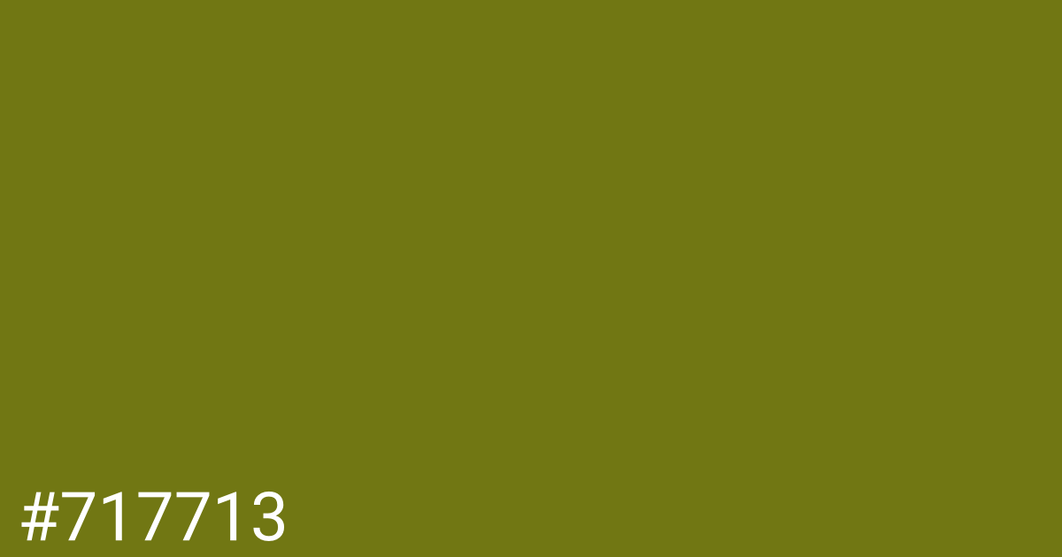 Hex color #717713 graphic