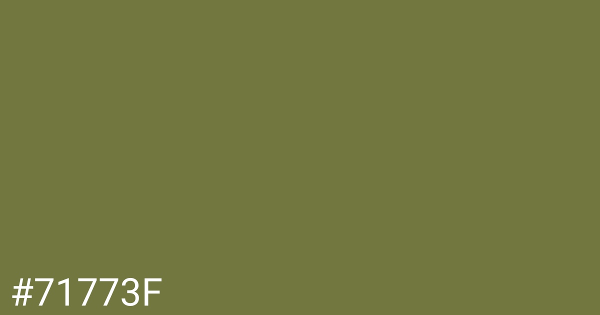 Hex color #71773f graphic