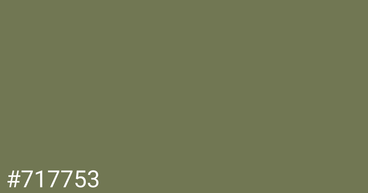 Hex color #717753 graphic