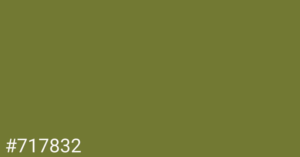 Hex color #717832 graphic