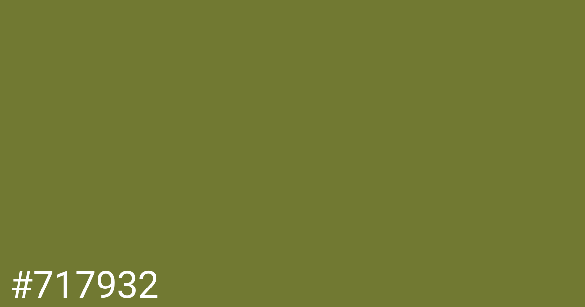 Hex color #717932 graphic