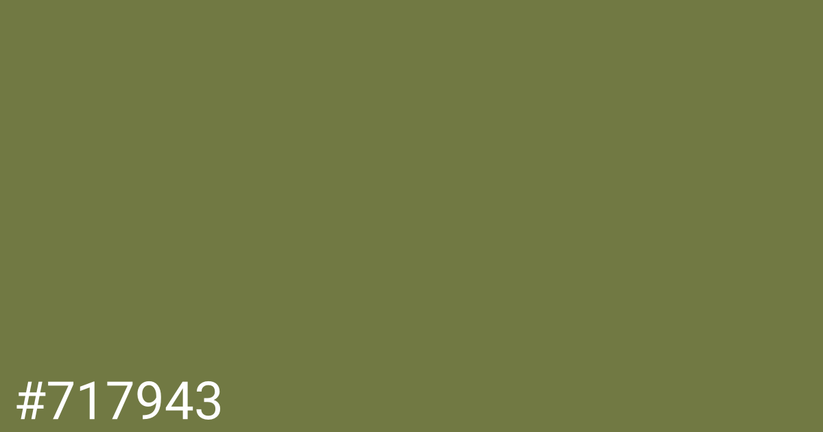 Hex color #717943 graphic