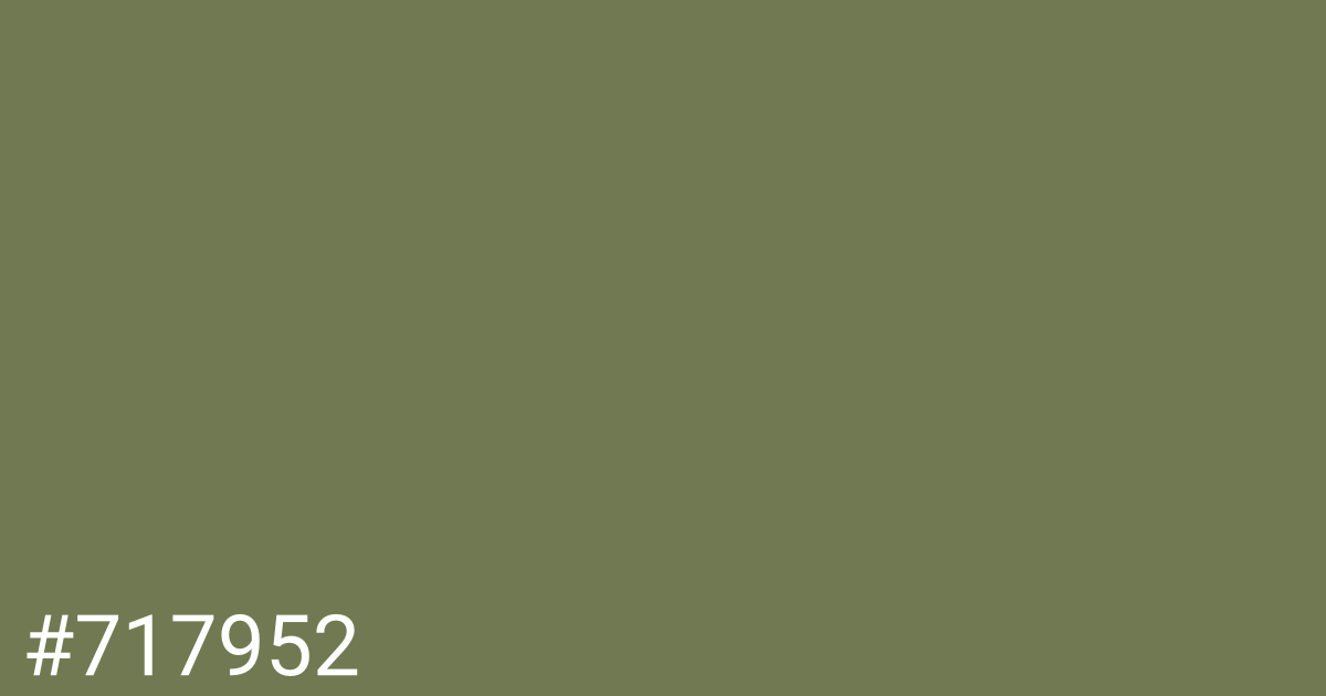 Hex color #717952 graphic