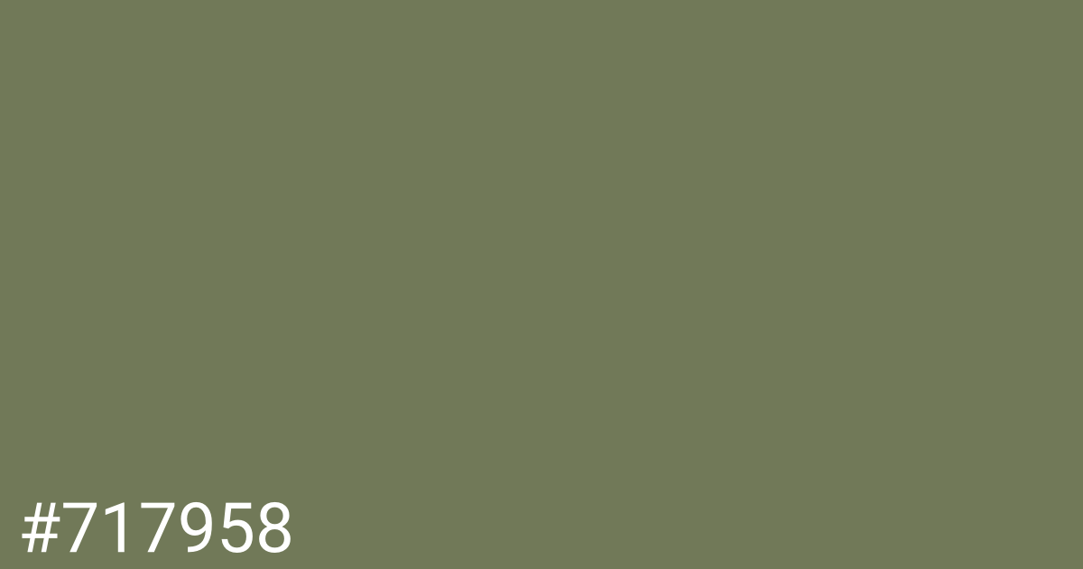 Hex color #717958 graphic