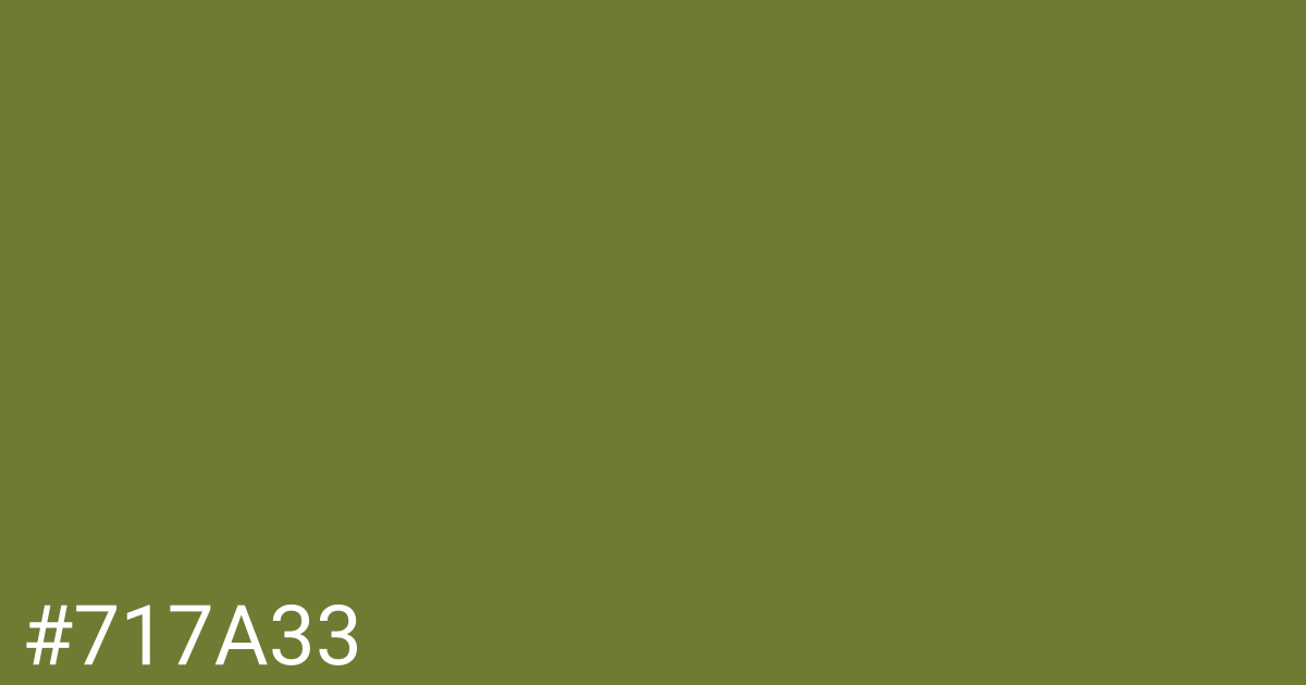 Hex color #717a33 graphic