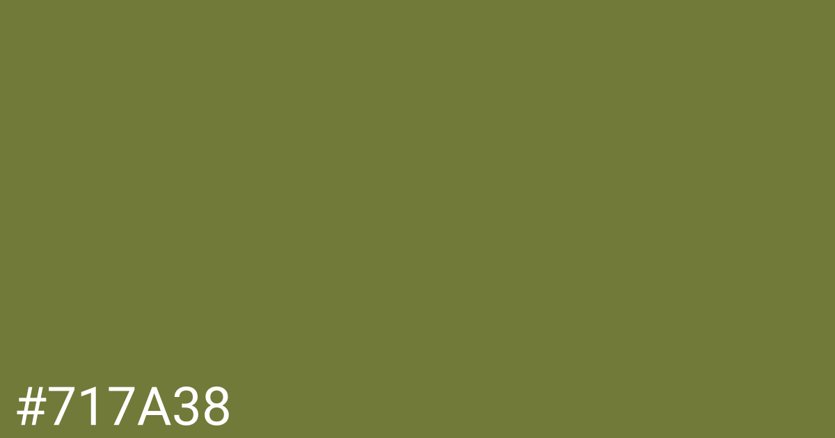 Hex color #717a38 graphic