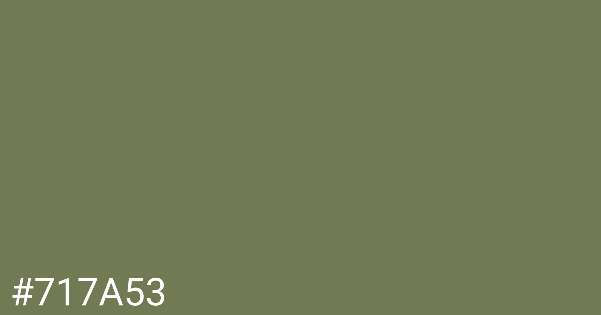 Hex color #717a53 graphic