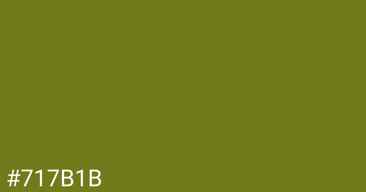 Hex color #717b1b graphic