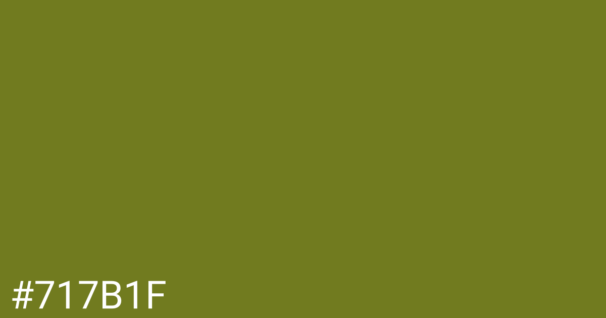 Hex color #717b1f graphic