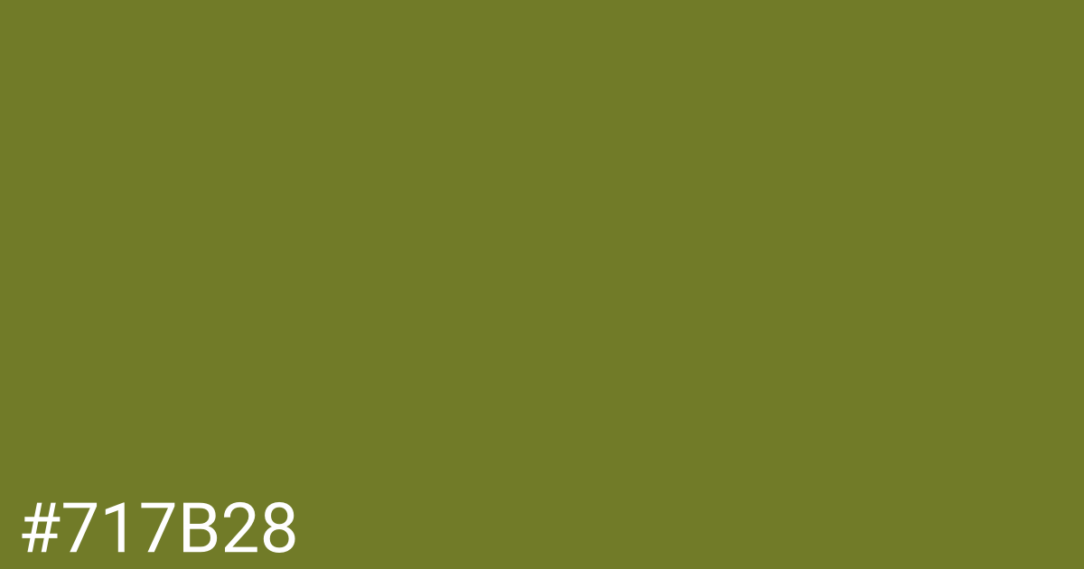 Hex color #717b28 graphic