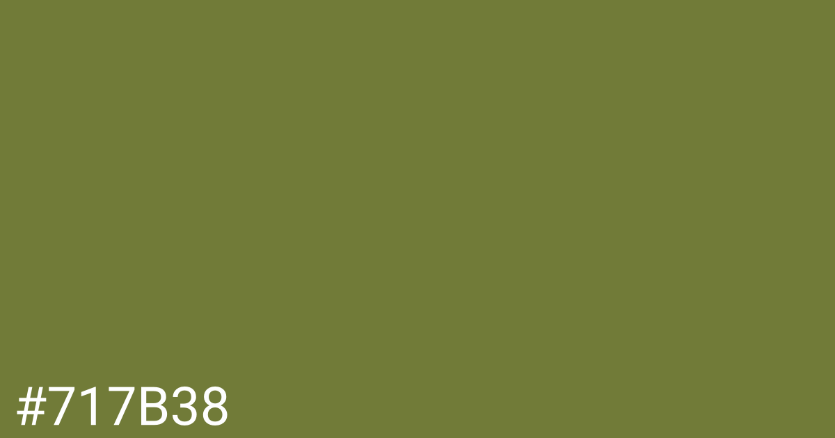 Hex color #717b38 graphic