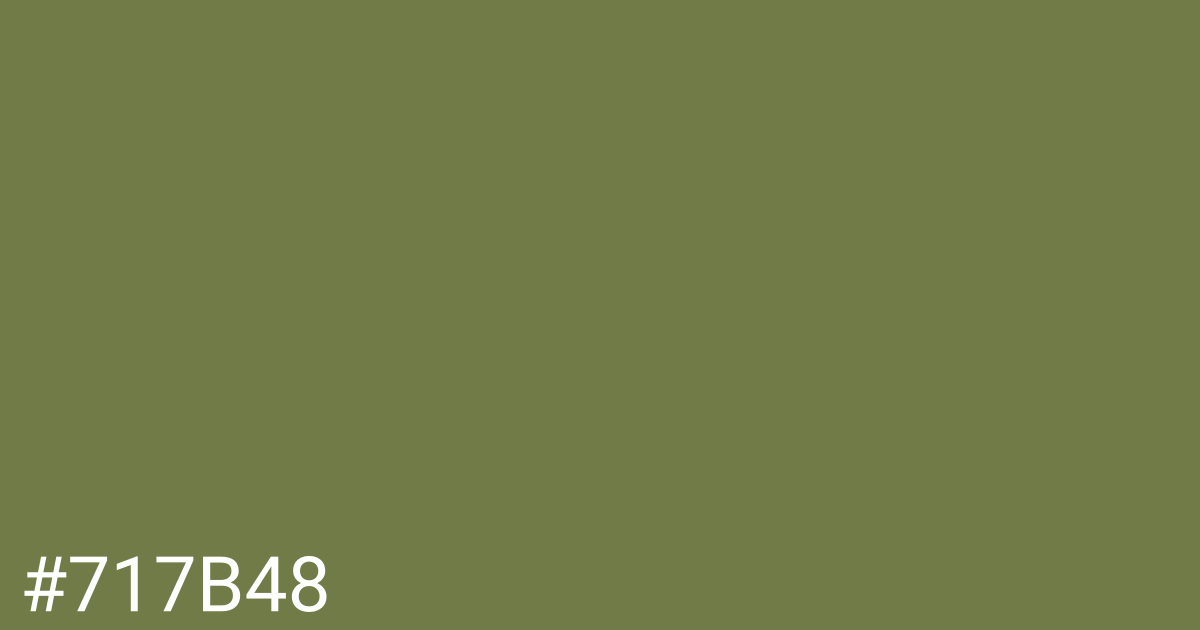 Hex color #717b48 graphic