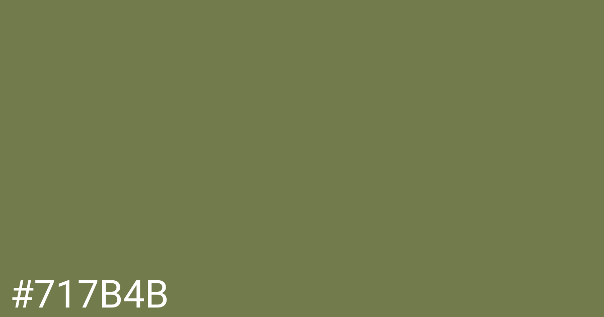 Hex color #717b4b graphic