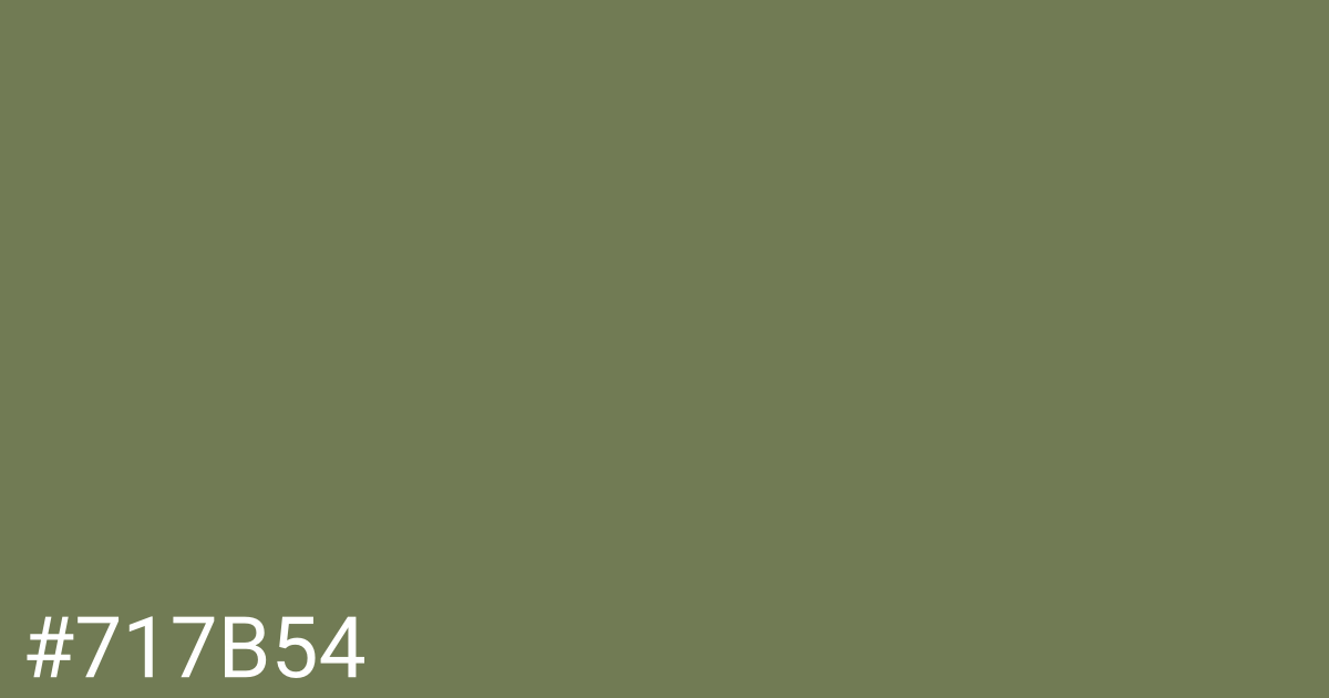 Hex color #717b54 graphic