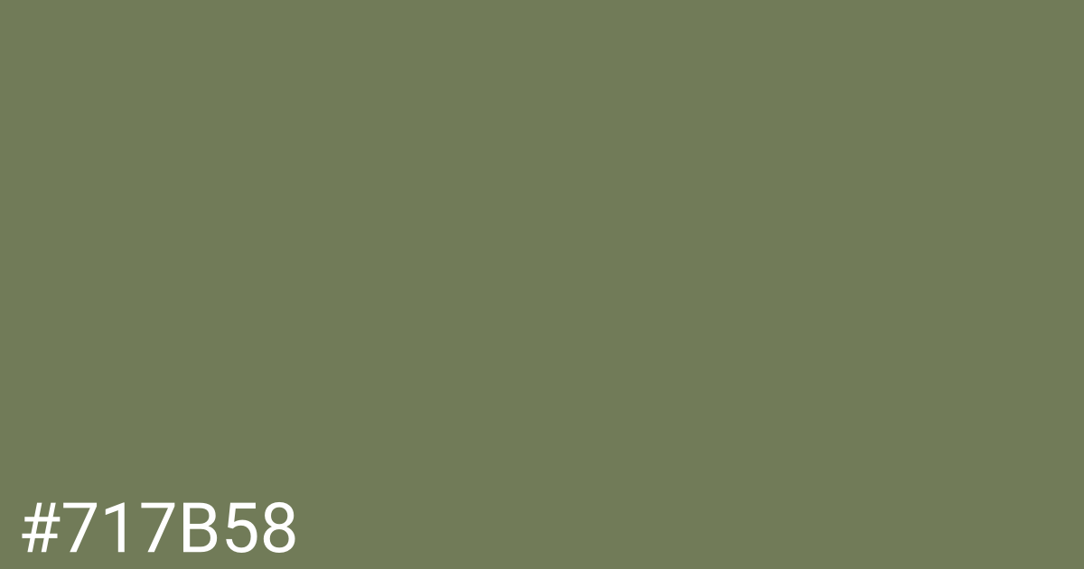 Hex color #717b58 graphic