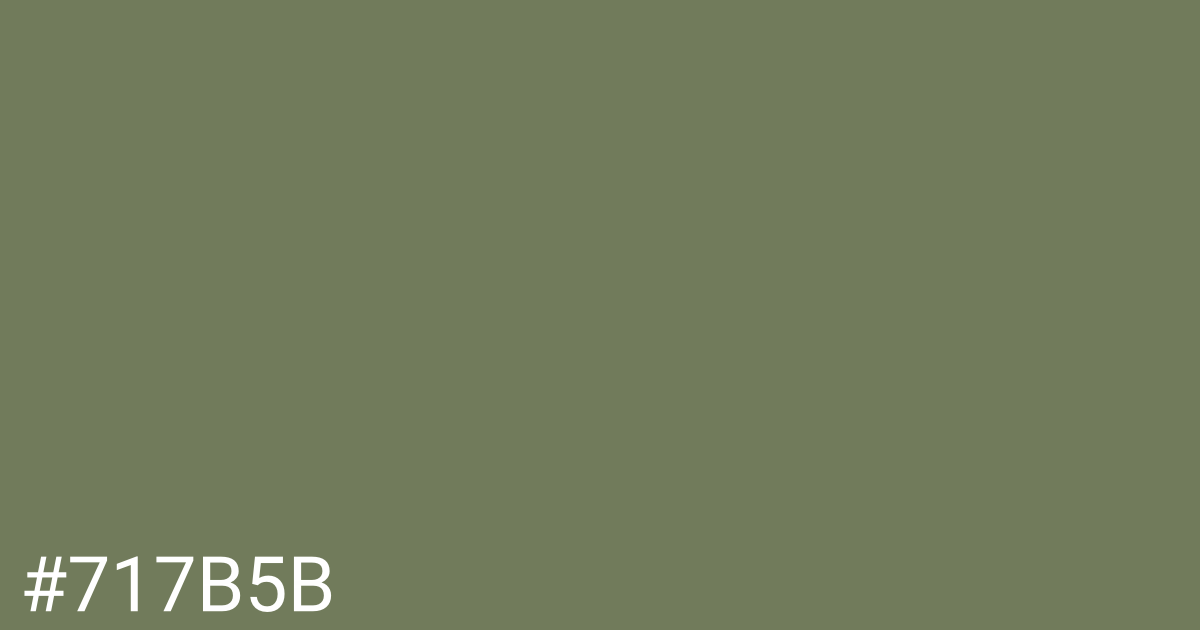 Hex color #717b5b graphic