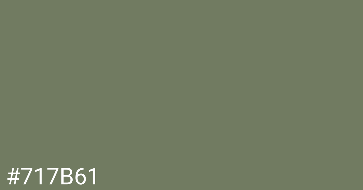 Hex color #717b61 graphic