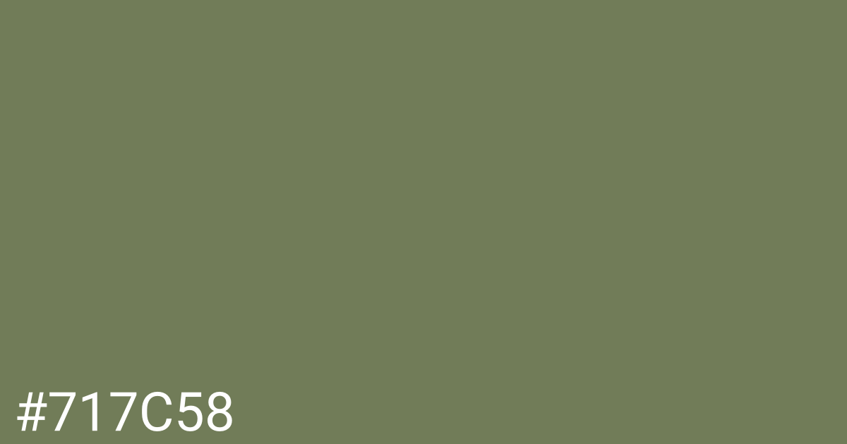 Hex color #717c58 graphic