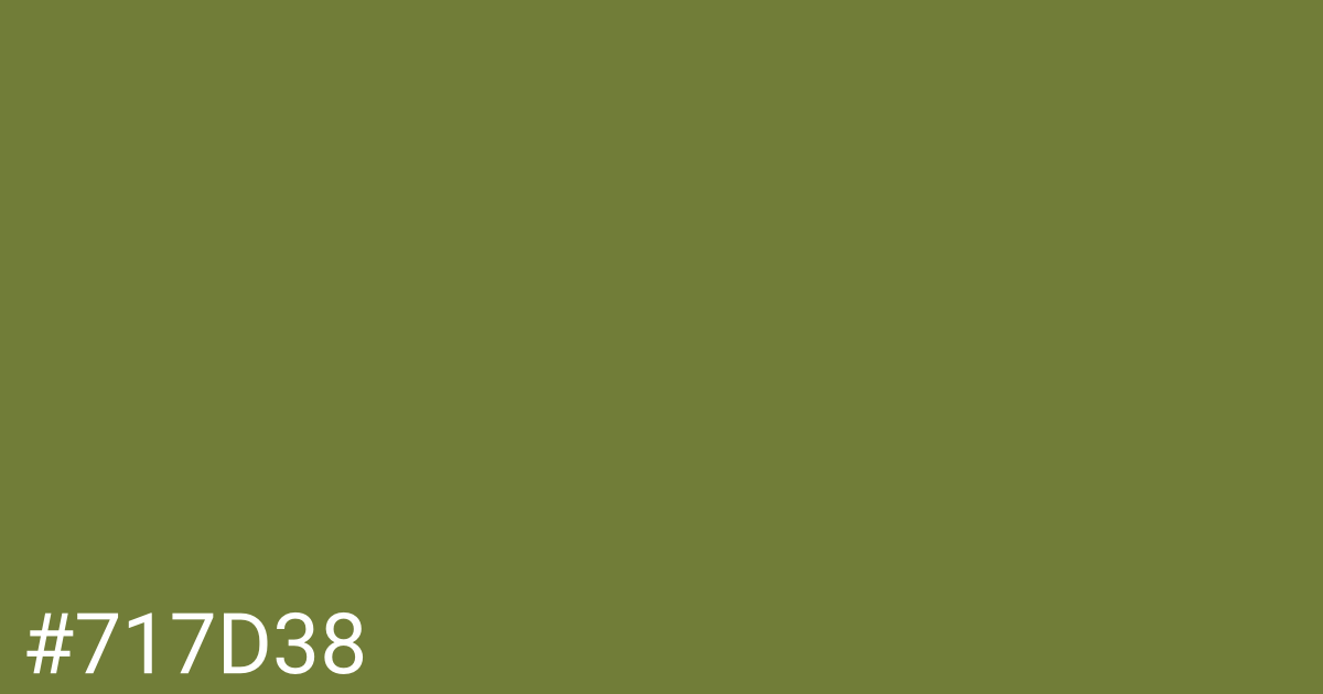 Hex color #717d38 graphic