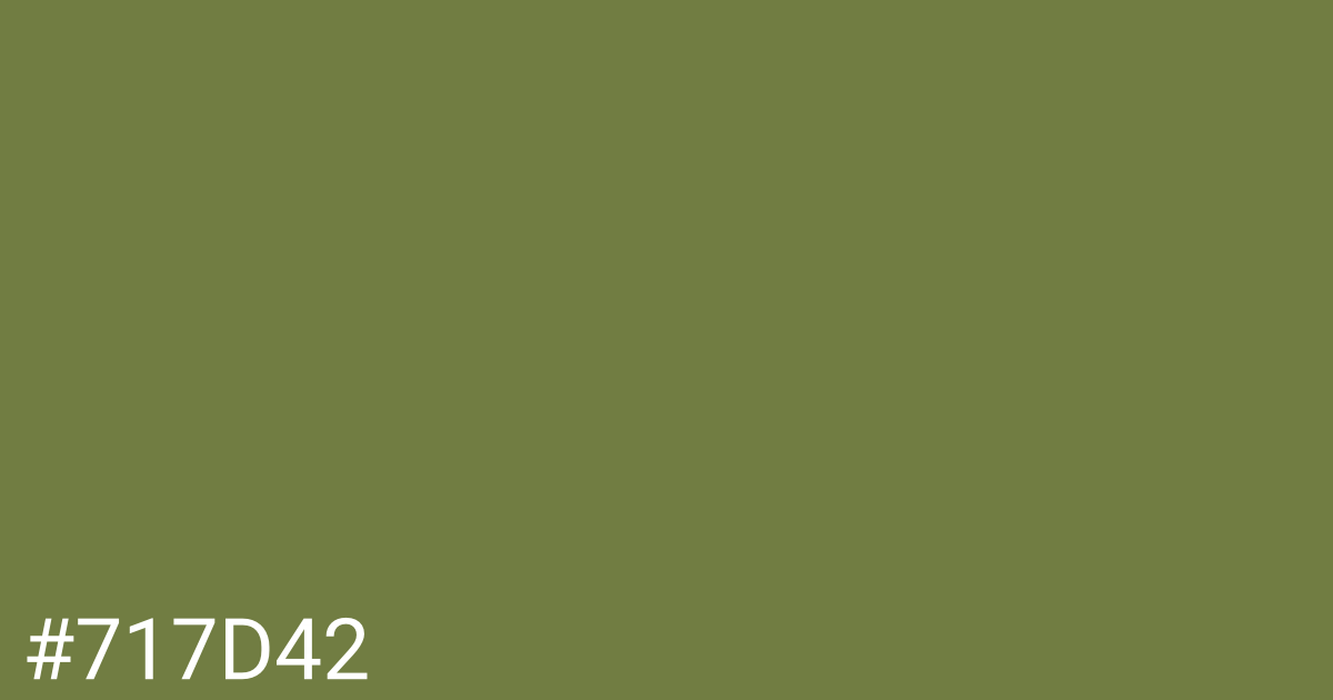 Hex color #717d42 graphic