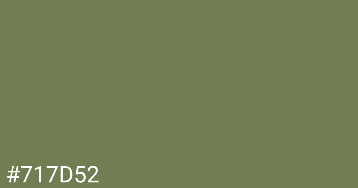 Hex color #717d52 graphic