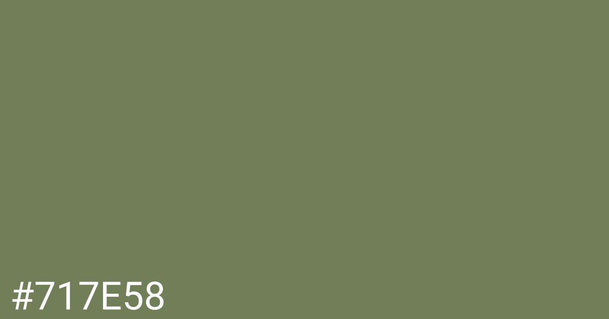 Hex color #717e58 graphic