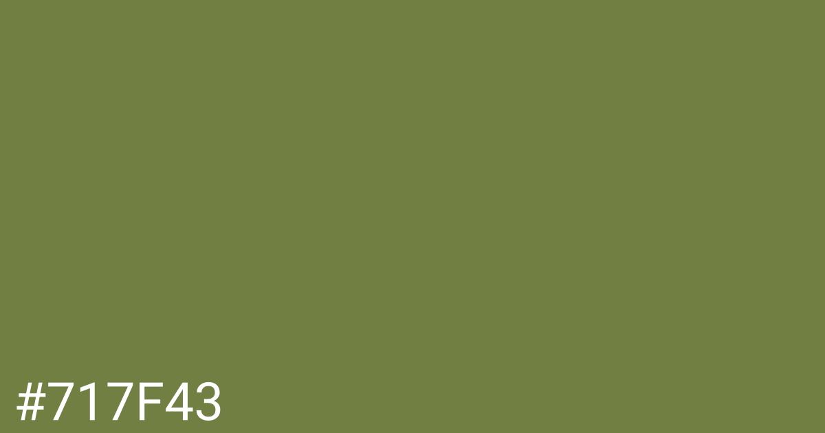 Hex color #717f43 graphic