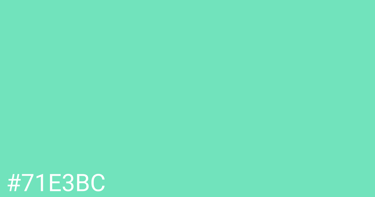 Hex color #71e3bc graphic