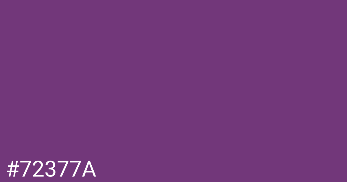 Hex color #72377a graphic