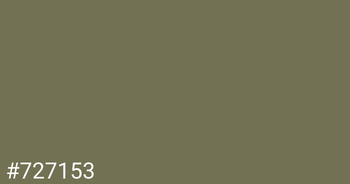 Hex color #727153 graphic