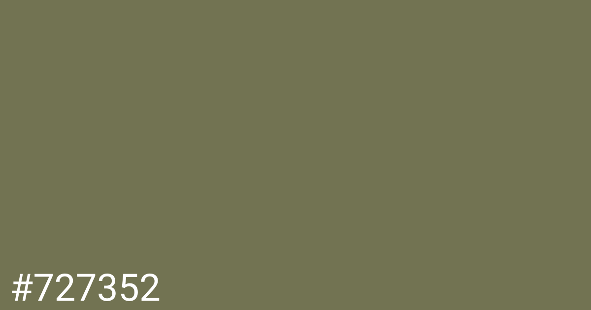 Hex color #727352 graphic