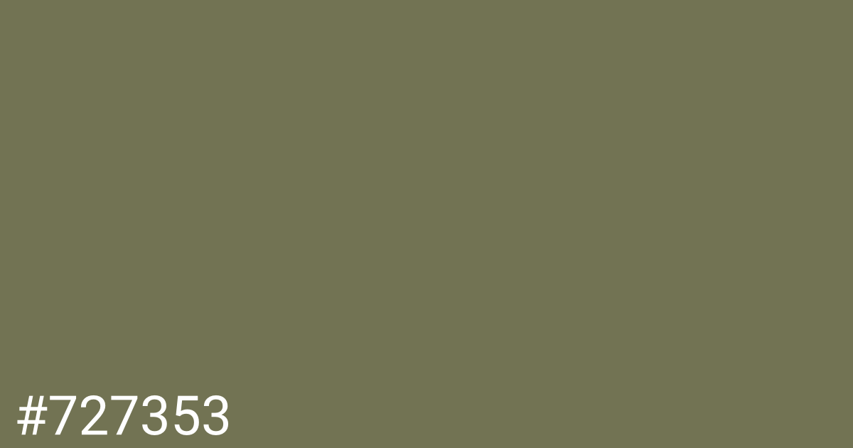 Hex color #727353 graphic