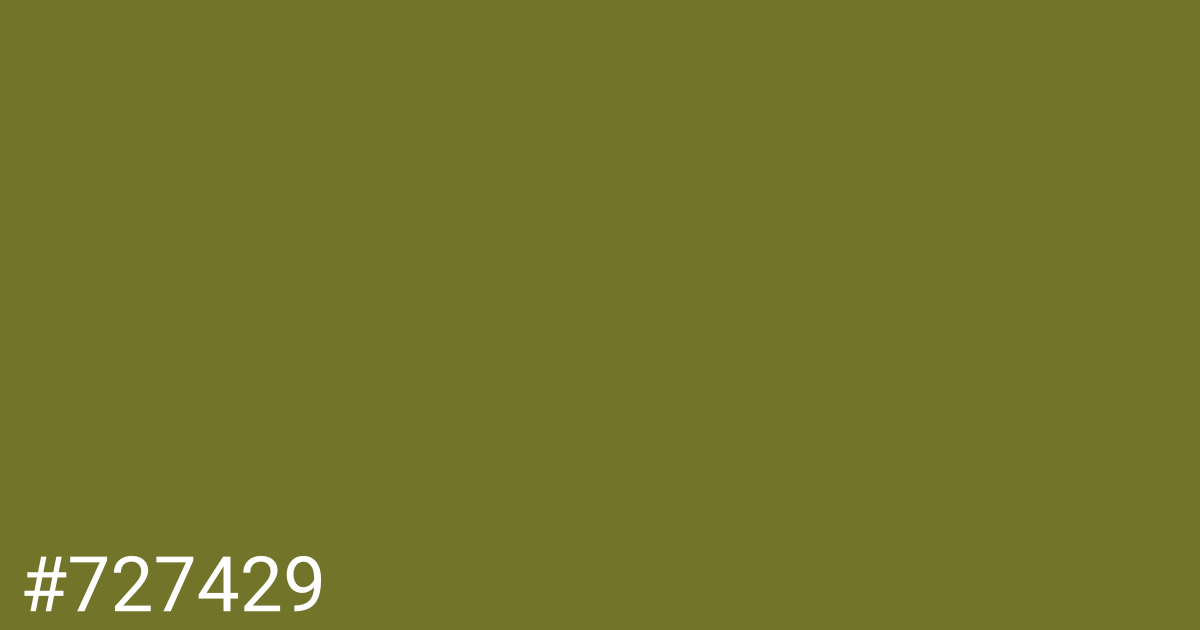 Hex color #727429 graphic