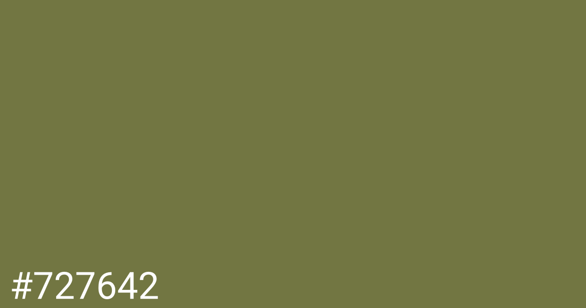 Hex color #727642 graphic