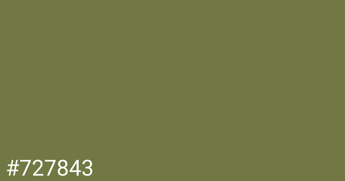 Hex color #727843 graphic