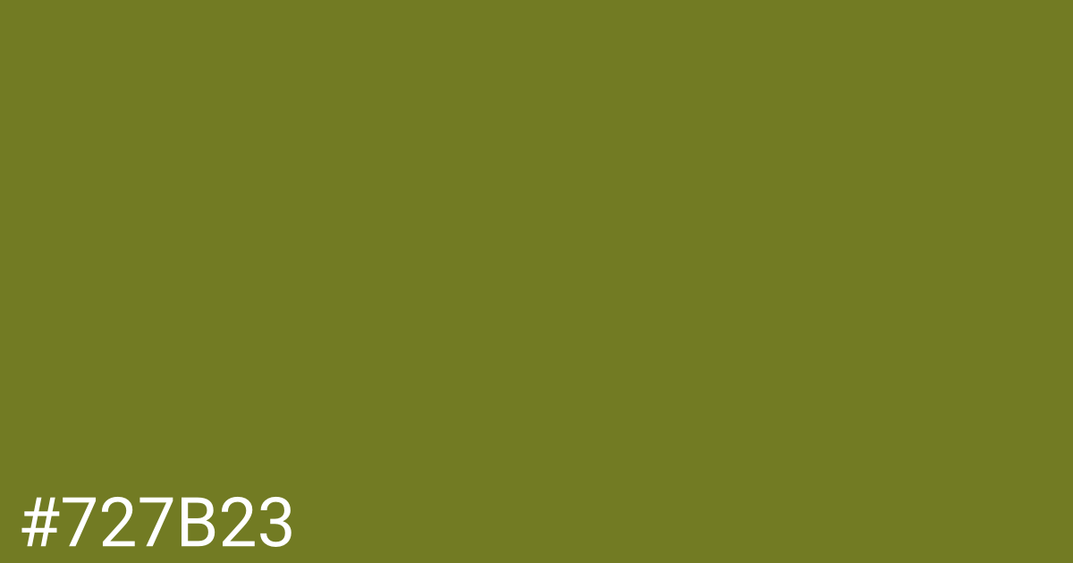 Hex color #727b23 graphic