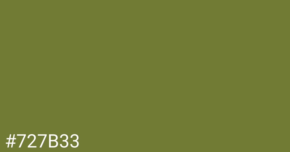 Hex color #727b33 graphic