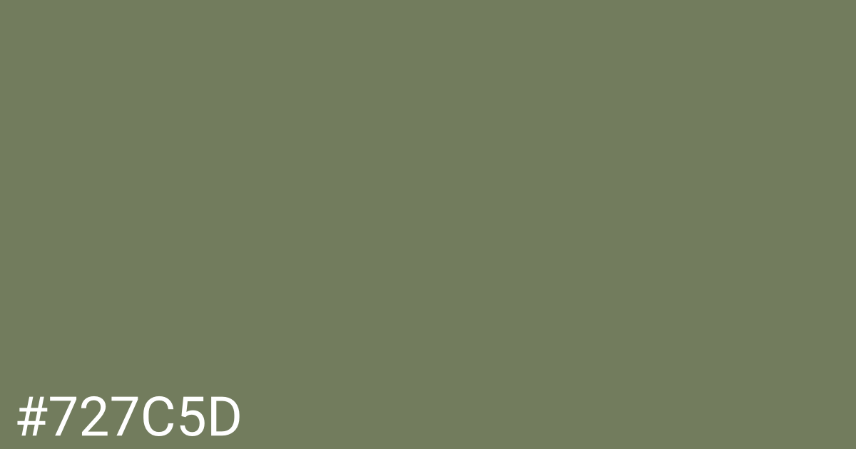 Hex color #727c5d graphic