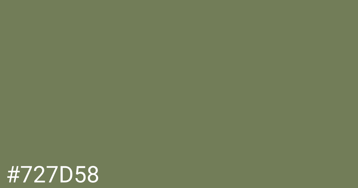 Hex color #727d58 graphic